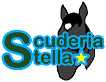 Scuderiastella　スクーデリアステラ